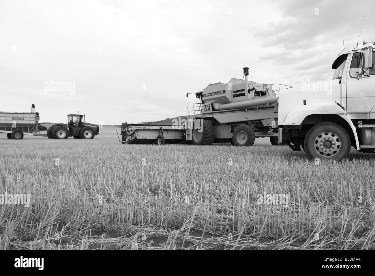 Tempo del raccolto in Australia quando i ragazzi grandi rollout i loro giocattoli ad alta risoluzione Fotografia Foto Stock