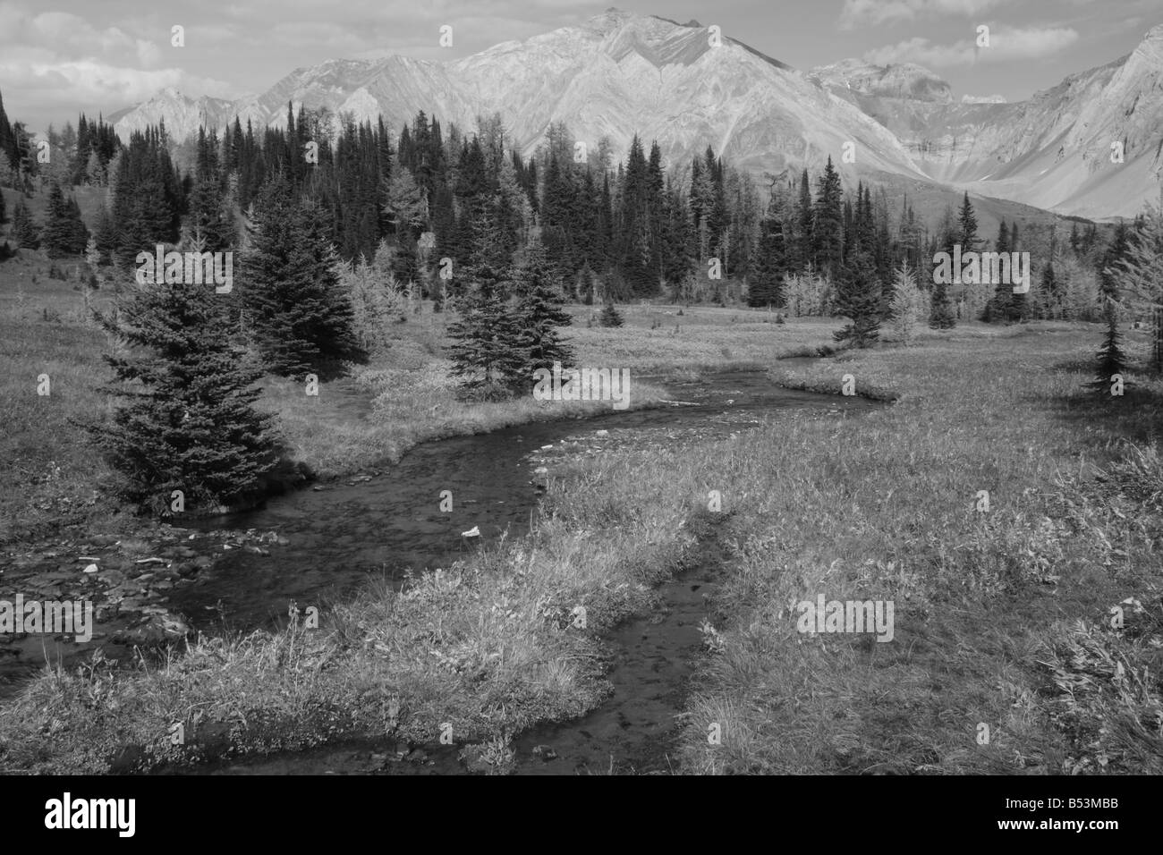 Highwood prati a Kananaskis Country, Alberta Foto Stock