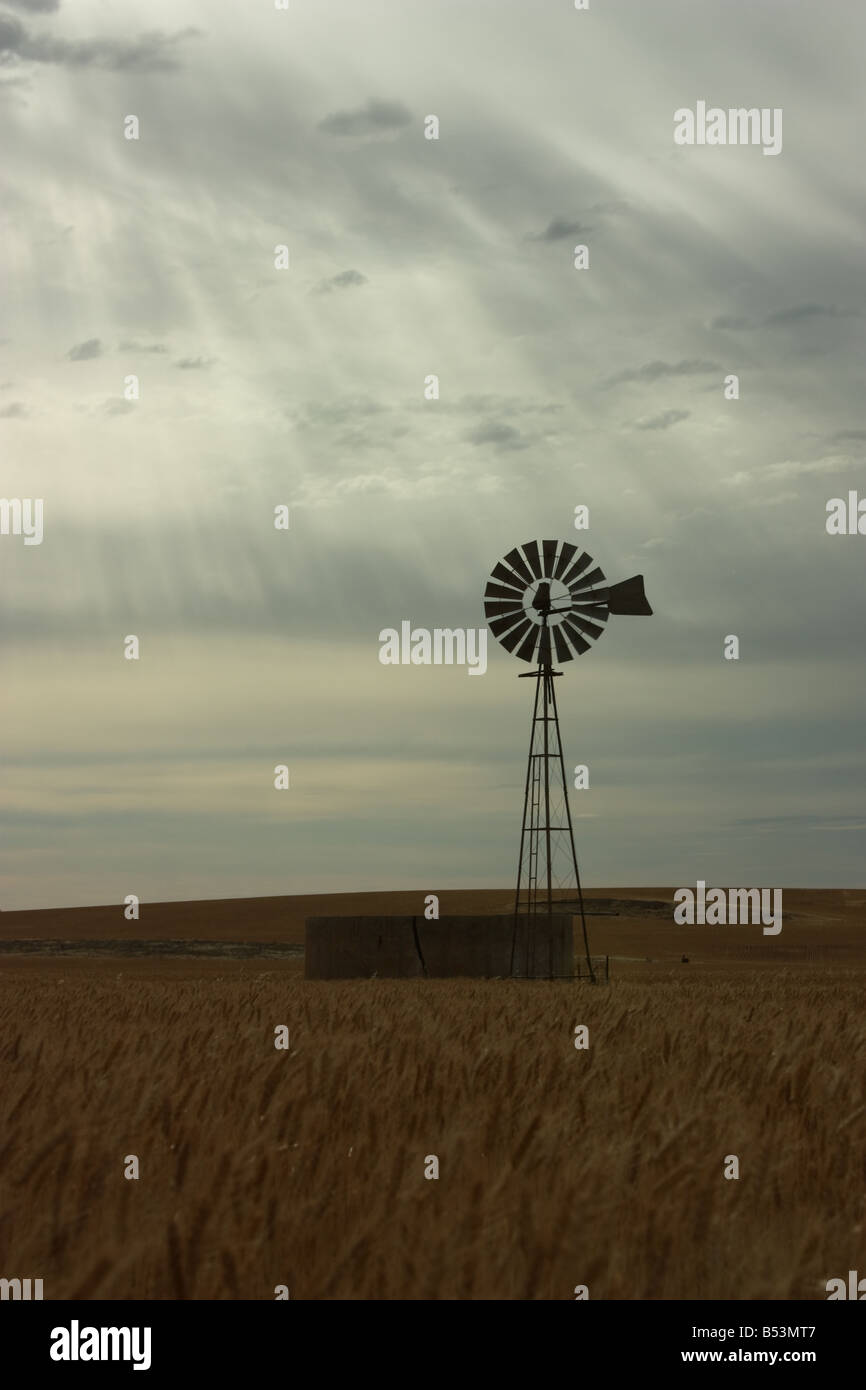 Un mulino a vento con la luce del sole di dare raggi di luce sulla penisola di Eyre con alta risoluzione Fotografia Foto Stock