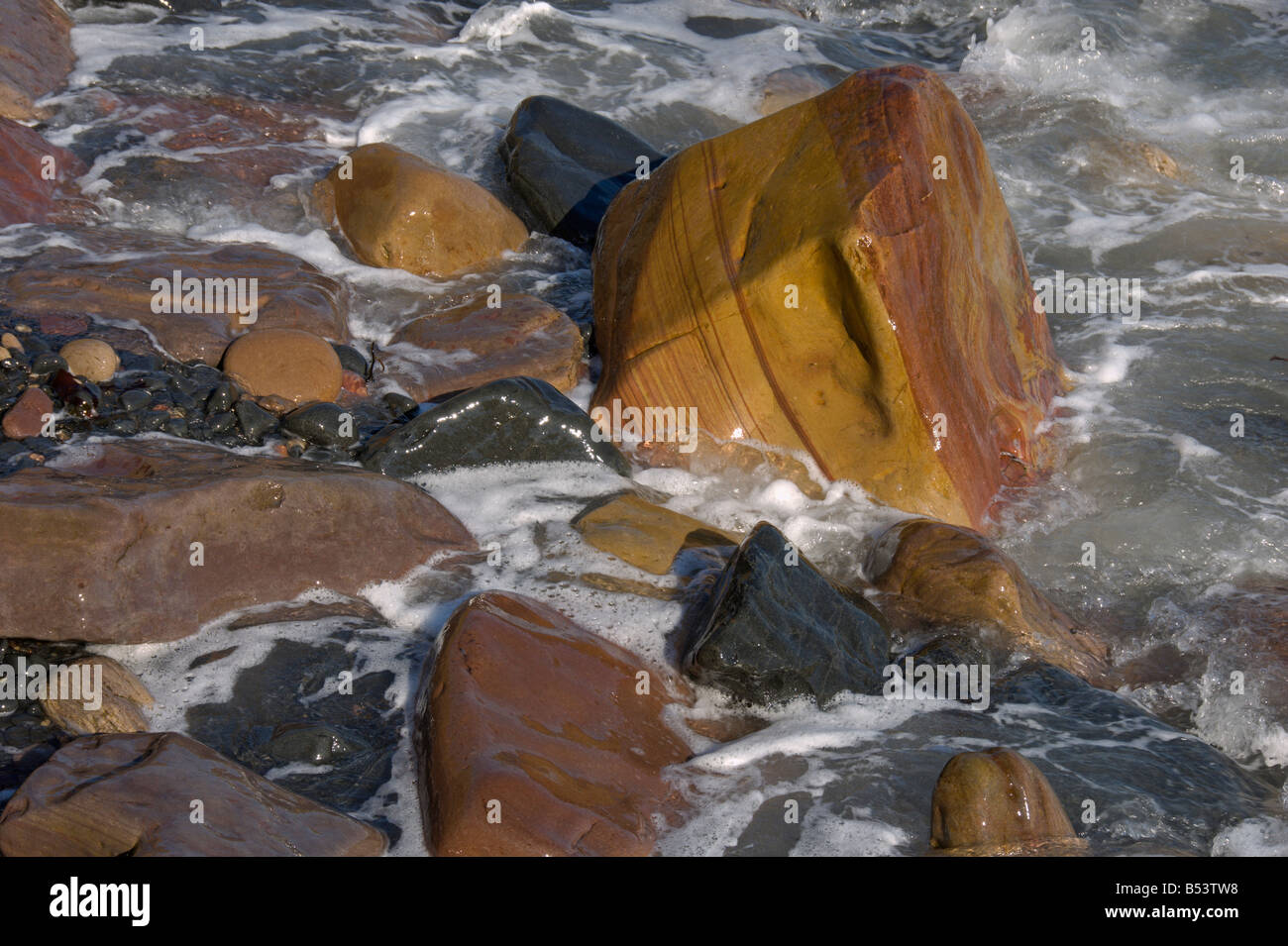 Shiny rocce ciottoli seashore Crail Neuk di Fife Fife Scozia Agosto 2008 Foto Stock