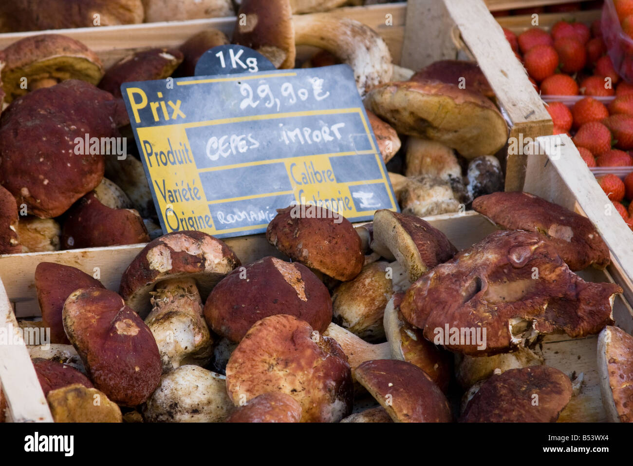 Funghi - Mercato a Vic Fezensac - Sud della Francia Foto Stock