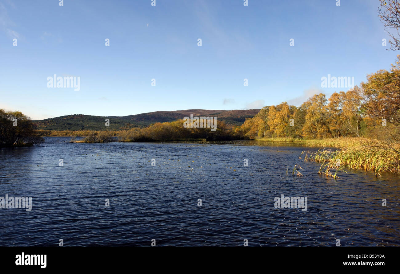 Loch Kinord in Aberdeenshire, Scozia, formata durante l'ice age, che ora fa parte di Muir of Dinnet riserva naturale Foto Stock