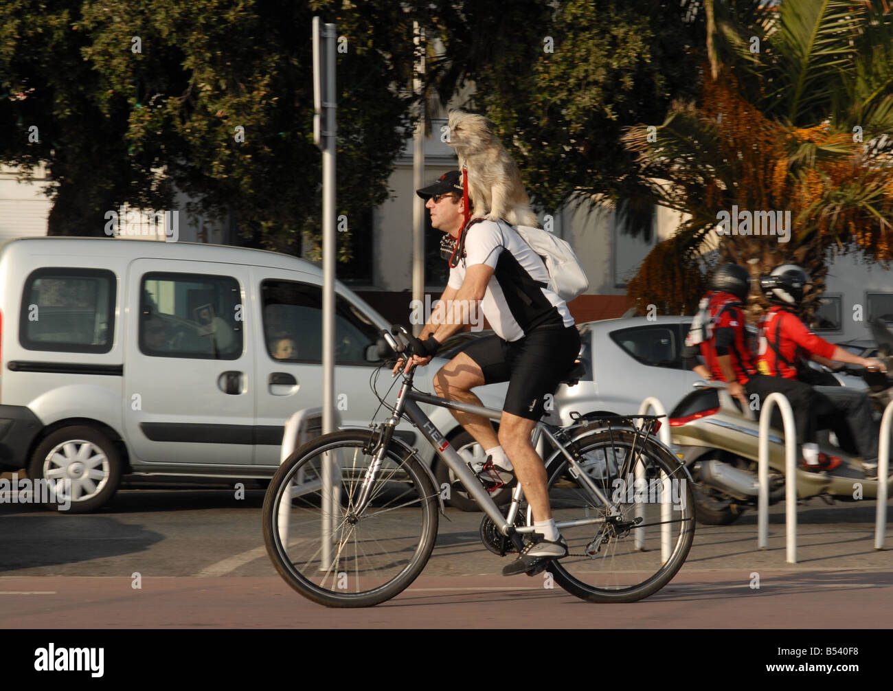 Un ciclista scorre attraverso il bello con il suo cane sulla sua spalla Foto Stock