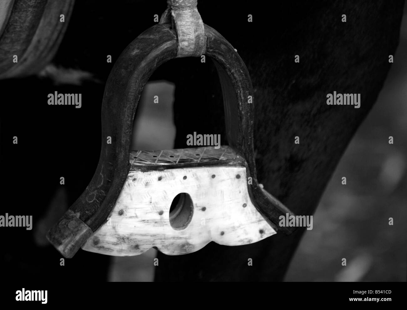 Una staffa su un cavallo appartenente ad un Gaucho a San Antonio de Areco Provincia di Buenos Aires Argentina Foto Stock