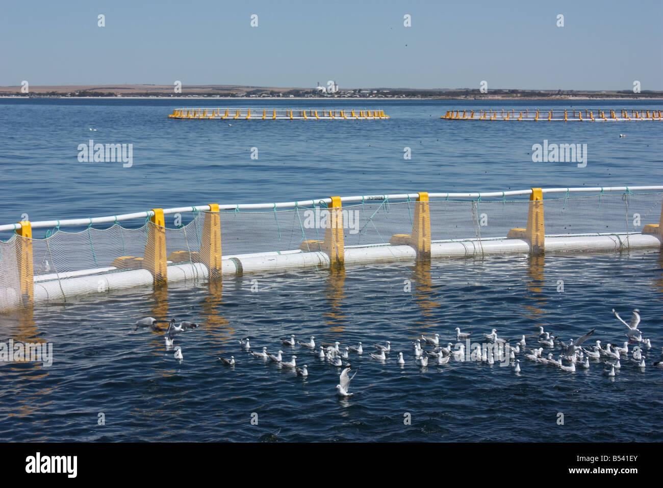 Guardando indietro a arno bay sulla penisola di Eyre nel quartiere cleve Foto Stock