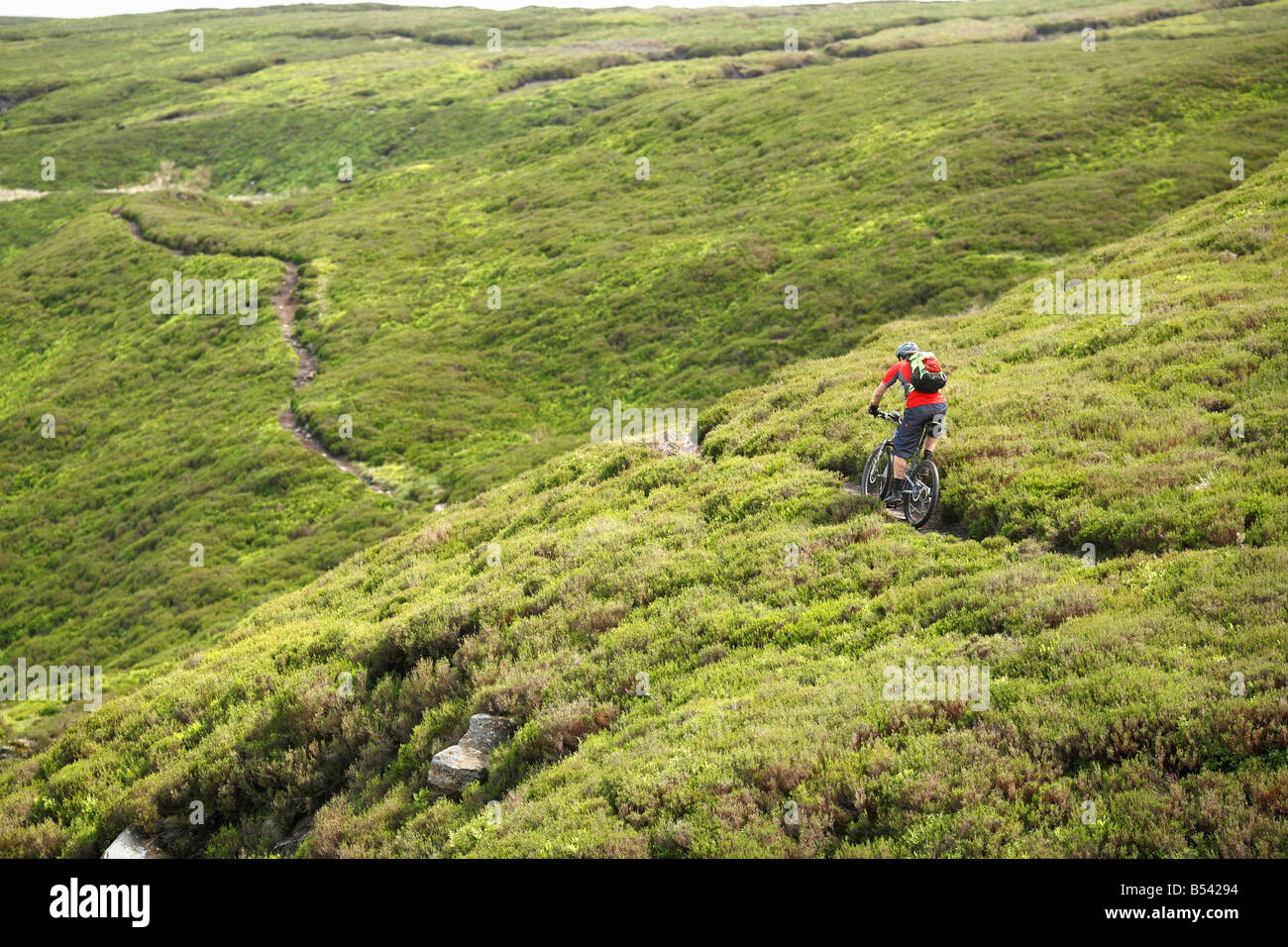 Mountain Biker corse da sola il North Yorkshire Moors Foto Stock