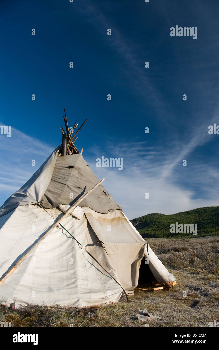 Tsaatan Tepee encampment Northern Mongolia Agosto 2008 Foto Stock