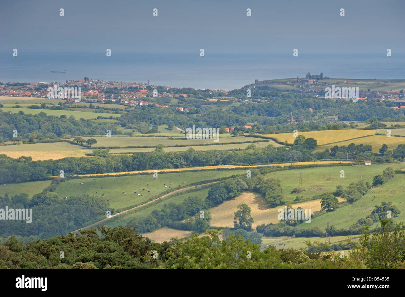 Guardando ad est di Whitby North Yorkshire Moors da un169 Inghilterra Luglio 2008 Foto Stock