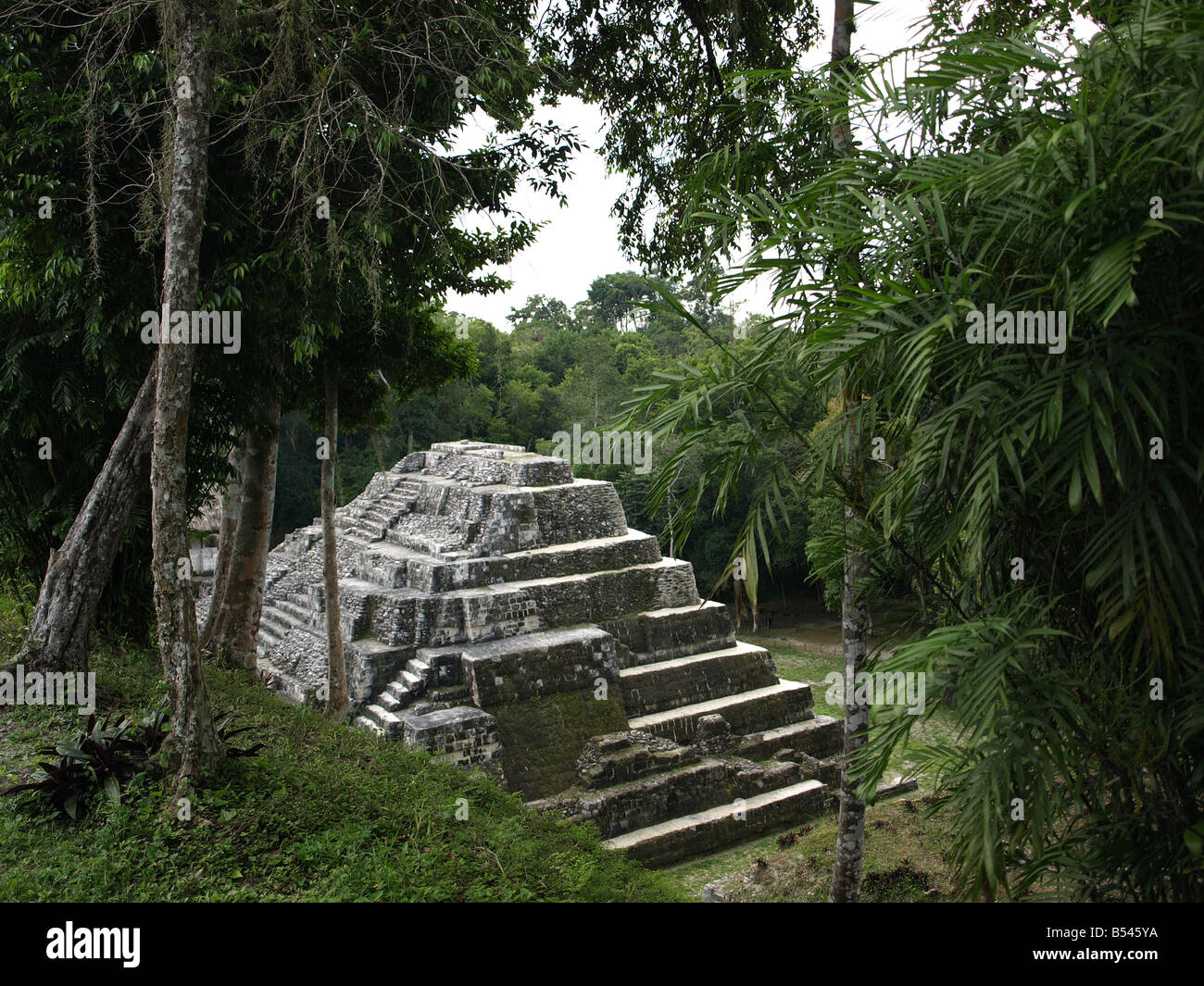 Tempio maya nascosti nella giungla Foto Stock