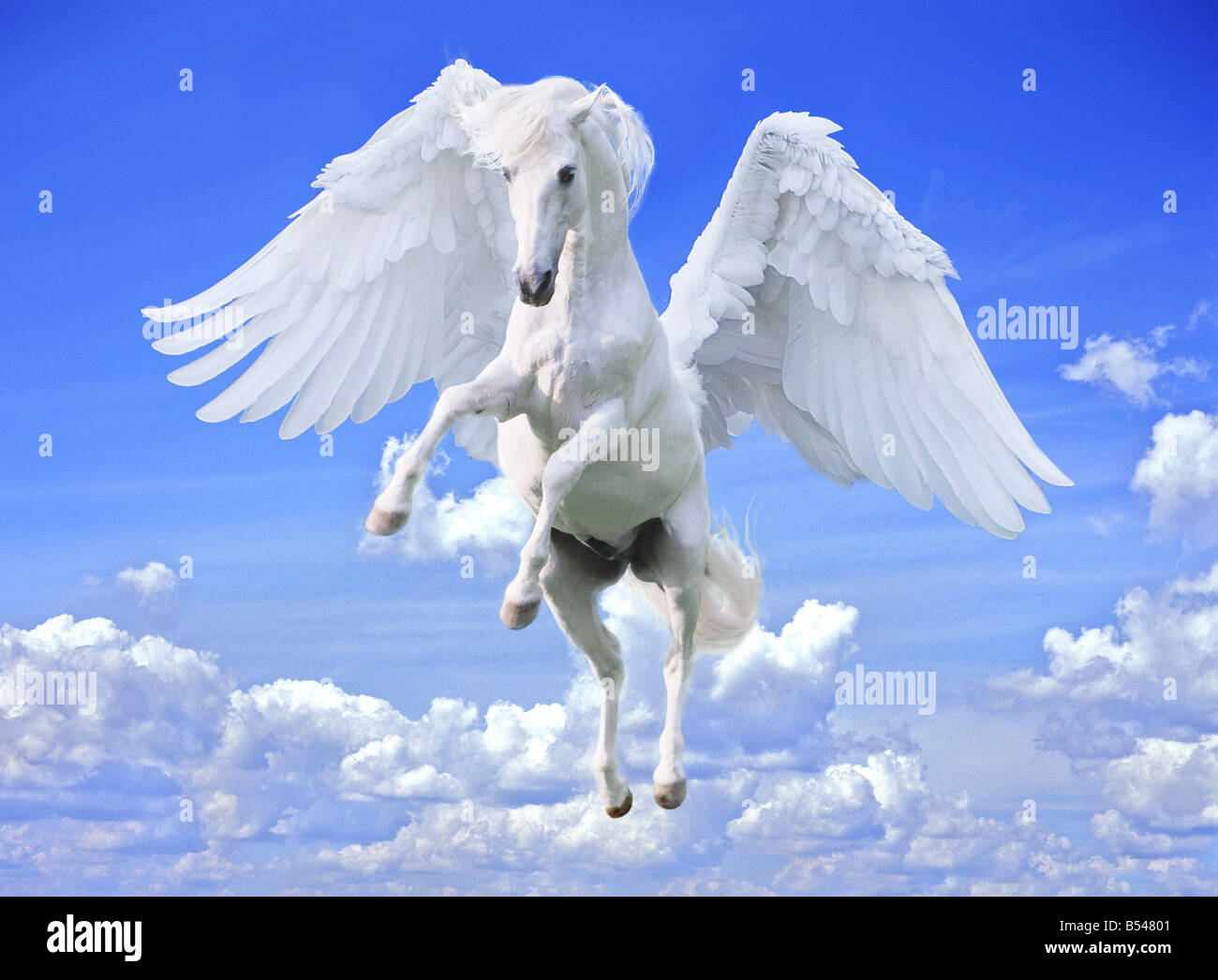 Pegasus in galoppo con ali stese Foto Stock