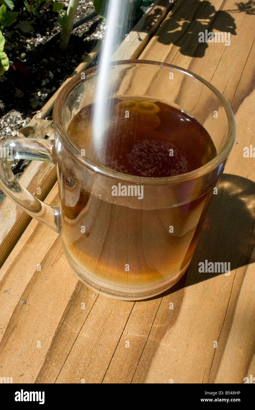Ancora vita tè freddo in vetro chiaro con o senza zucchero Foto Stock