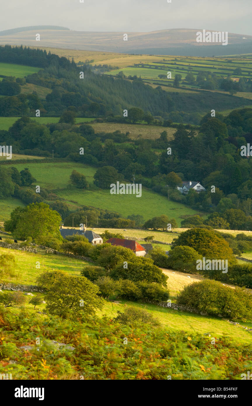 Dart Valley terreni agricoli Dartmoor Devon Regno Unito Foto Stock