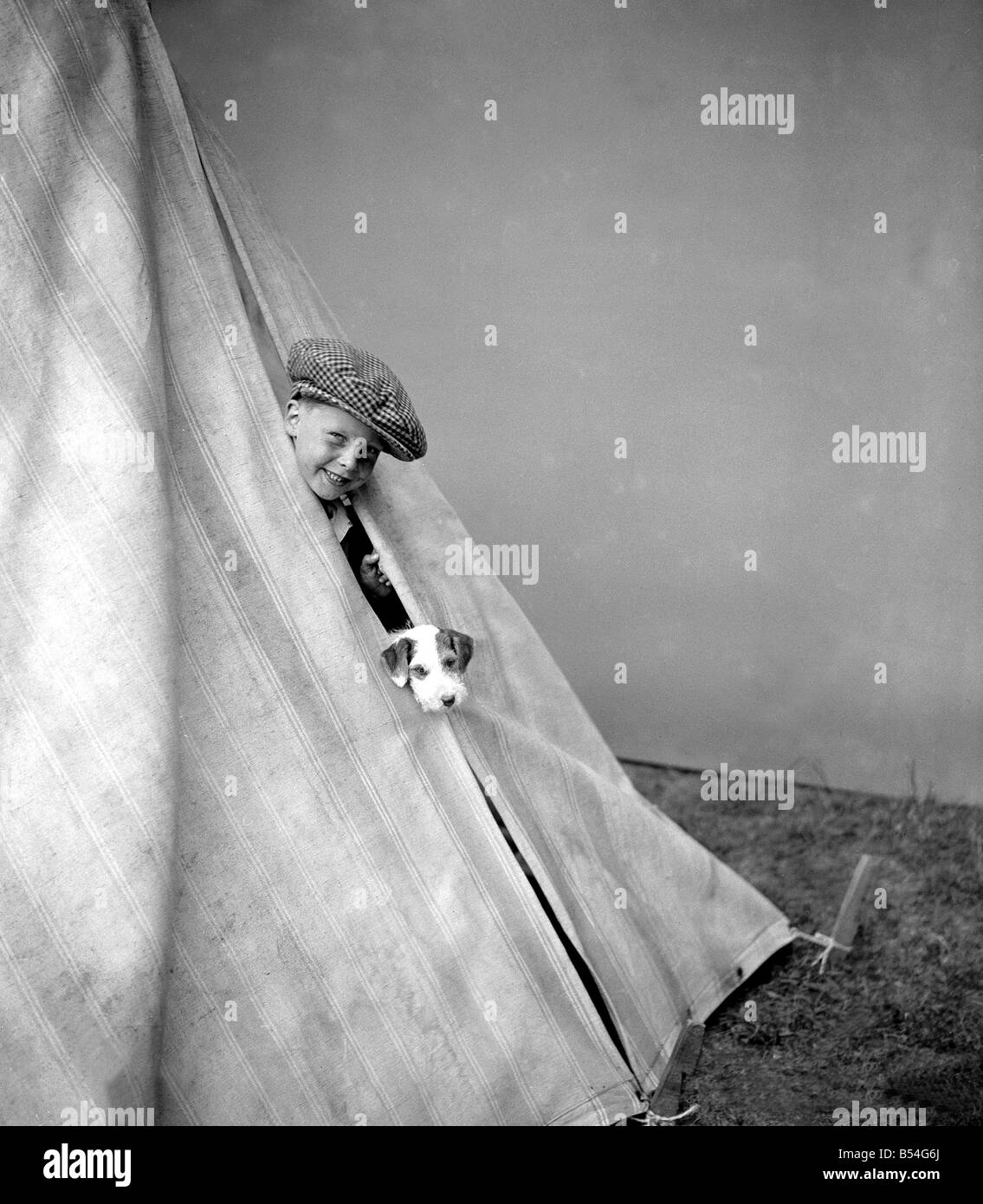 Si tratta di una vita i cani questa foto è stata scattata a volte negli anni trenta da un (ancora) sconosciuta Daily Mirror fotografo nel 1930 Foto Stock