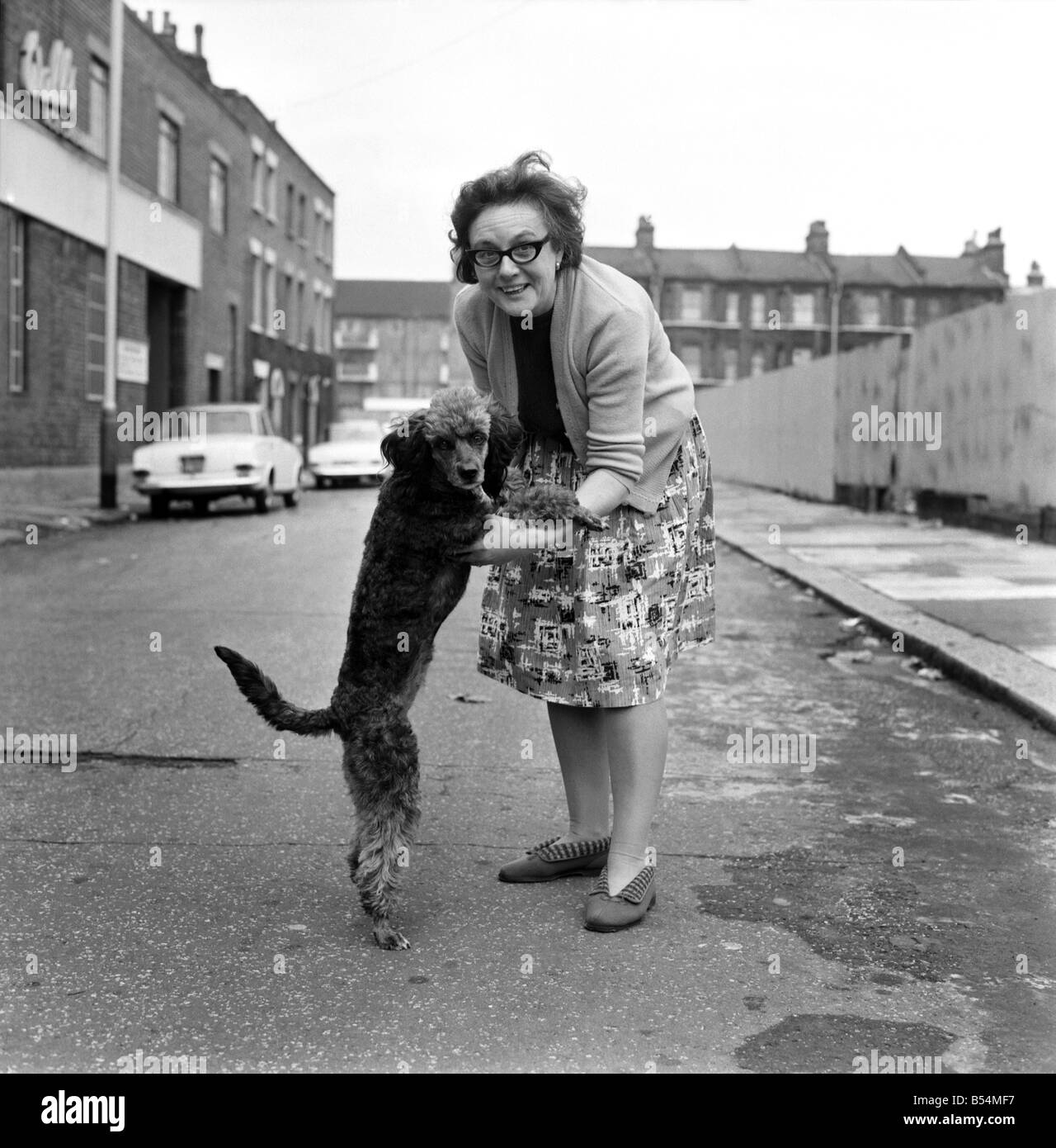 La Signora Ivy Fuller di Gundulf Street, Kennington, con il suo barboncino grigio che ha un piede-long tail per wag. Novembre 1969 Z11402 Foto Stock