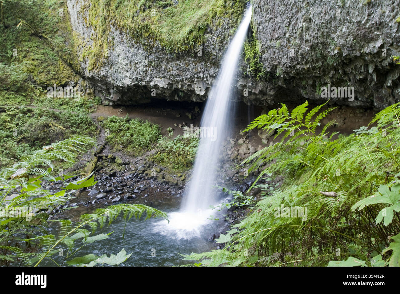 Coda di cavallo cade, Columbia Gorge National Scenic Area Foto Stock