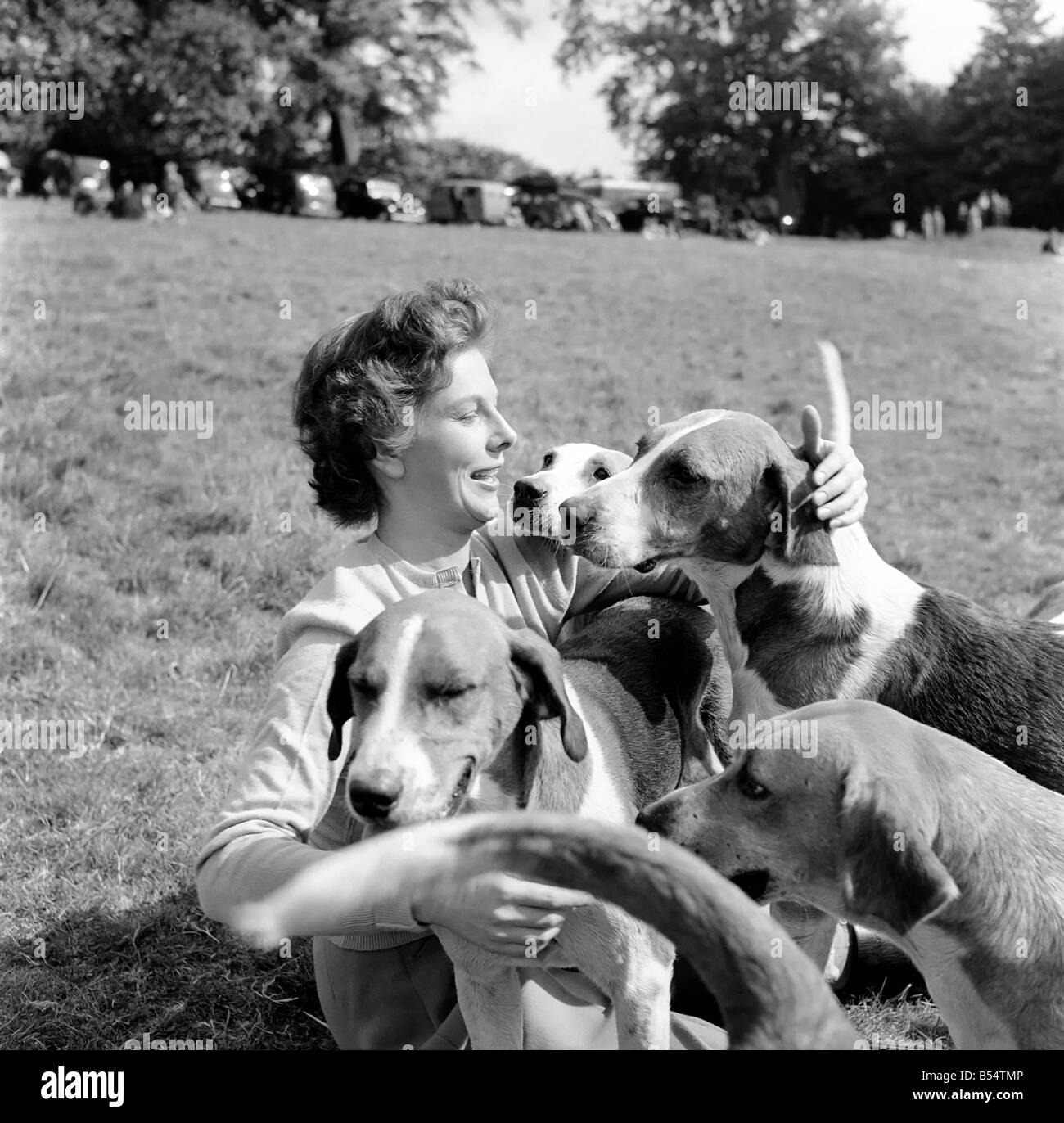 Animali Cani: Noelle Middleton pensiero sheÛd prendere un riposo di sedersi sull'erba, ma il resto fu presto rovinato, quando i segugi Foto Stock