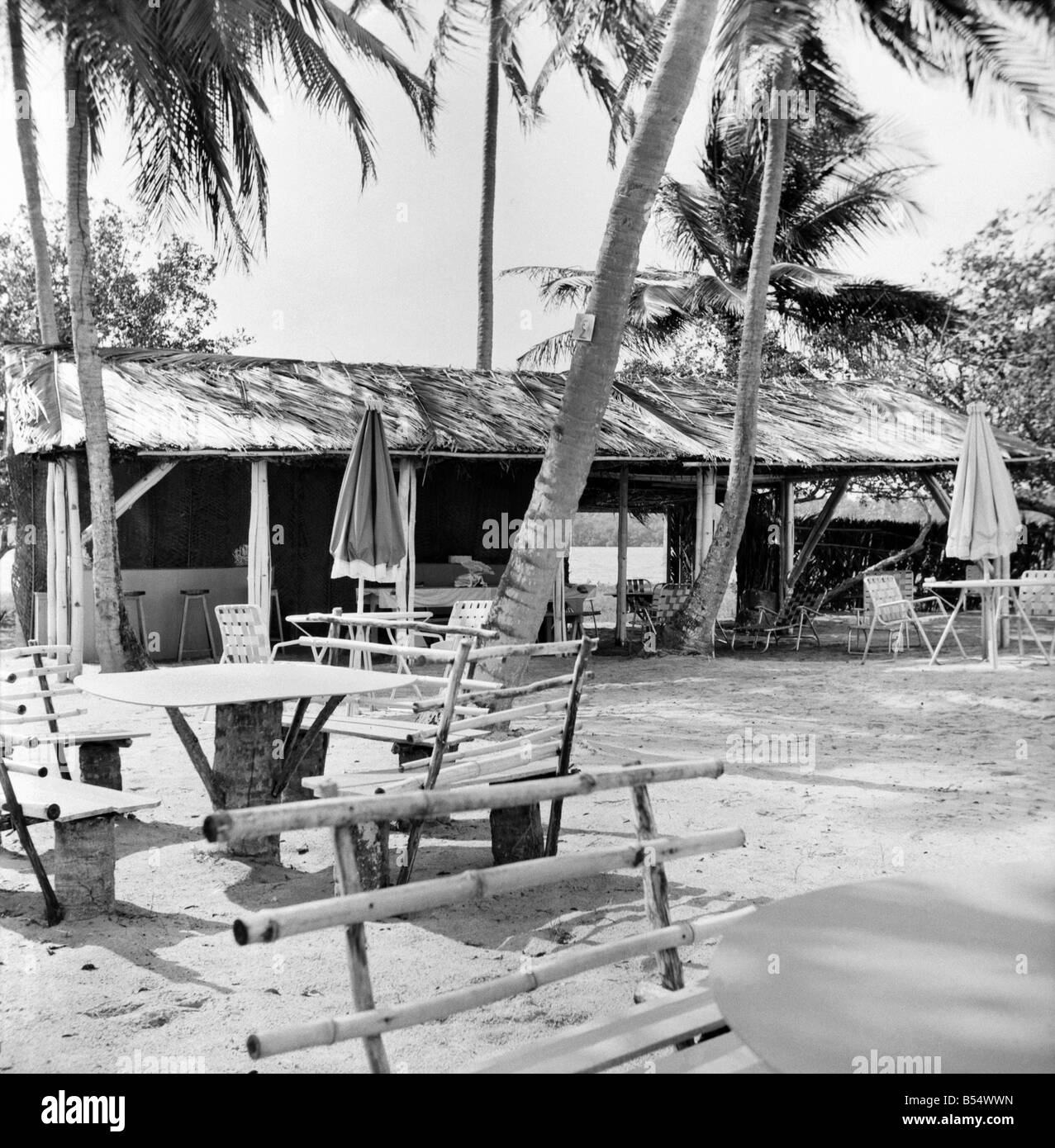 Alberi di palma e il Beach House a Tobago. Maggio 1960 M4289 Foto Stock
