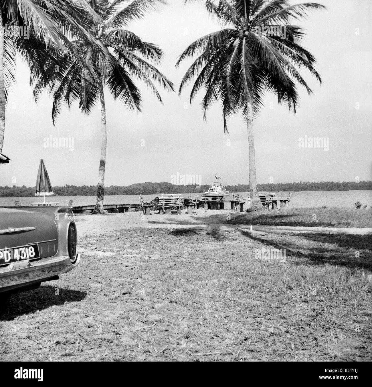 Alberi di palma e il Beach House a Tobago. Maggio 1960 M4289-004 Foto Stock