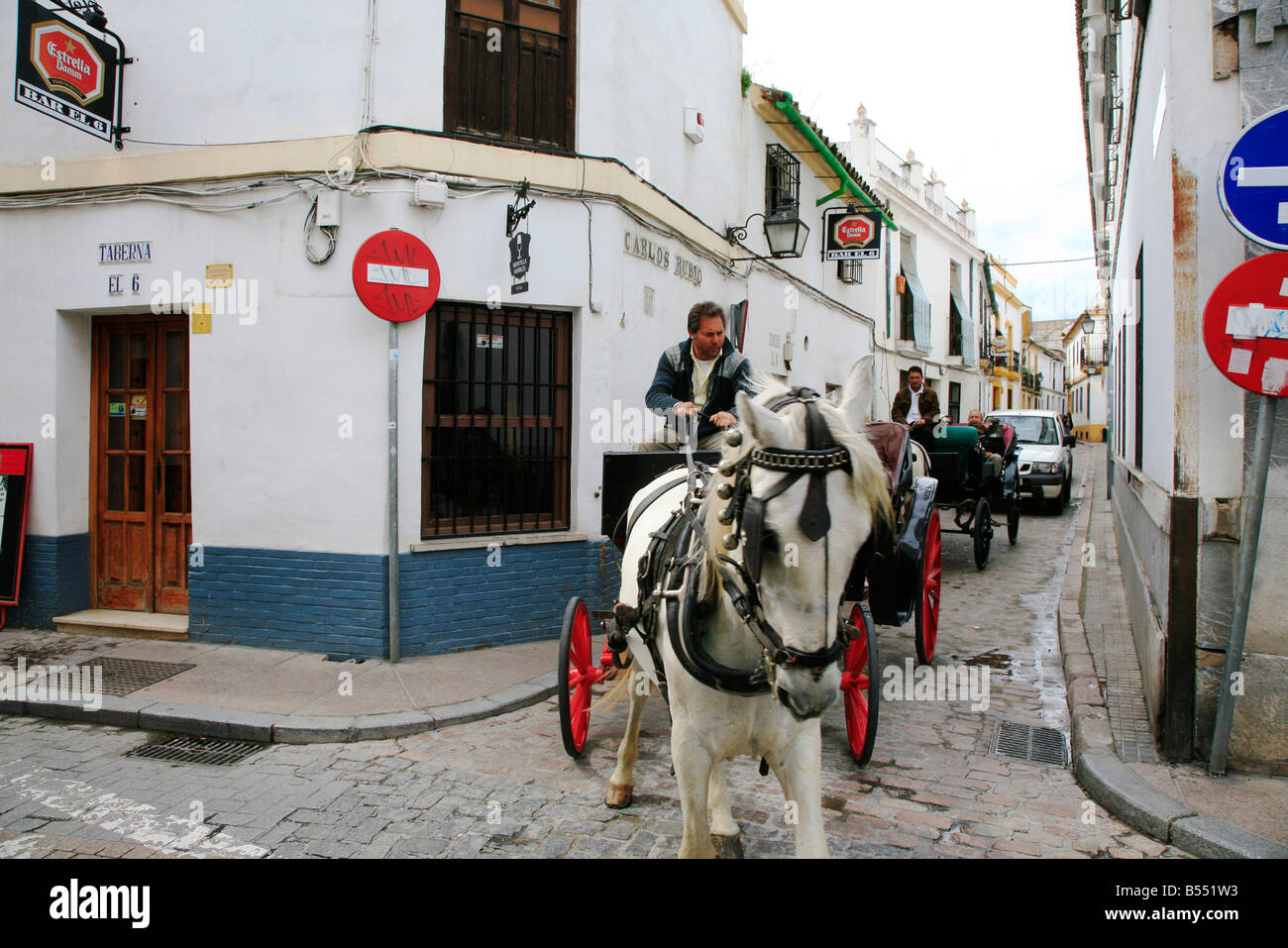 Tradizionale carro trainato da cavalli a Cordoba, Spagna Foto Stock