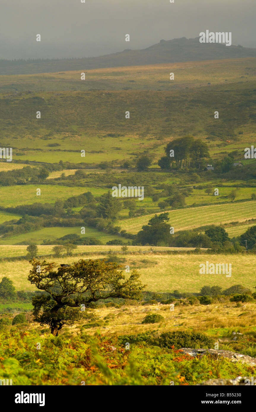 Dart Valley terreni agricoli vista Dartmoor Devon Regno Unito Foto Stock