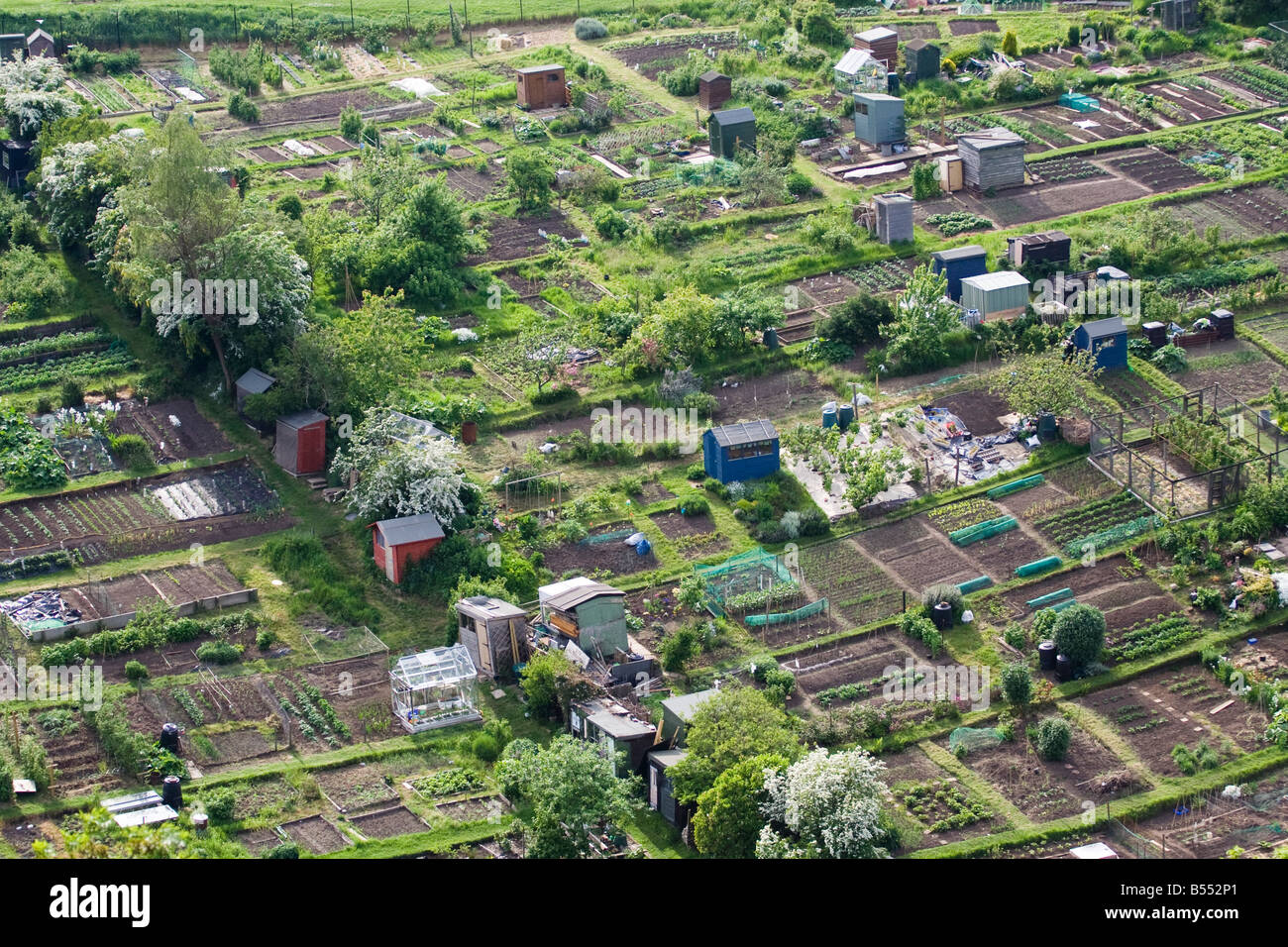 Assegnazioni di vegetali in Edinburgh Foto Stock