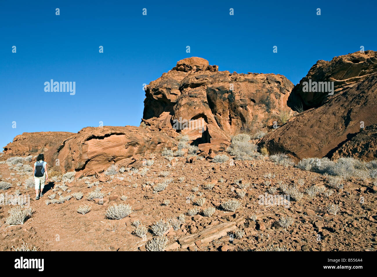 A piedi nella zona di Twyfelfontein in Damaraland Namibia Foto Stock