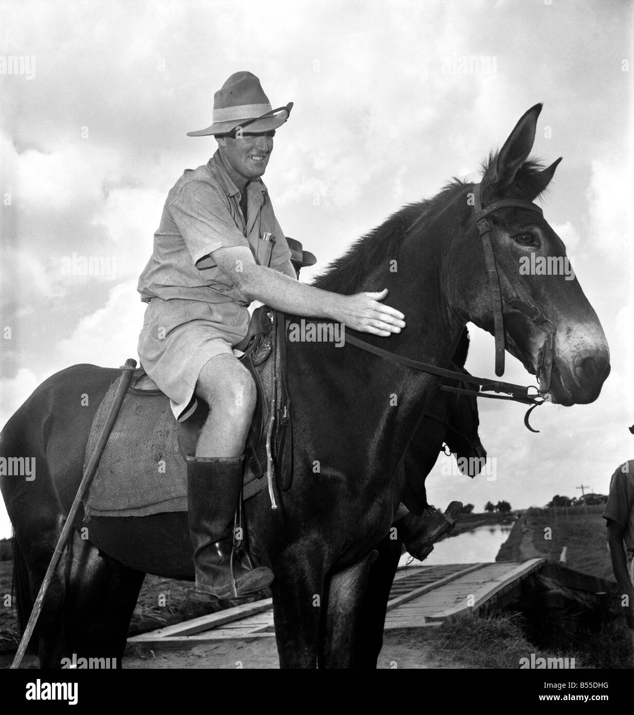 Confronto: due uomini a cavallo affacciate su un ponte appena al di fuori di George Town, Guyana Britannica. D6229A Foto Stock