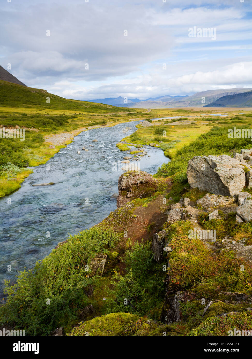 Esecuzione del flusso in Suðurfirðir accanto Sunnfjall Westfjords Islanda Foto Stock