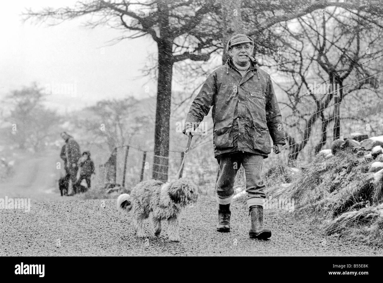 Animali Cani: Lui è trasandato cercando... ma adorabile. Egli costo di pochi scellini quando egli era un po' un gomitolo di lana. Ma per titolare di pensione o di rendita Selena Greenwood egli vale ogni centesimo del suo prezzo di £300 ha speso su di lui negli ultimi 2 1/2anni). BobbyÖyou potrebbero chiamarlo un old English Sheepdog ha trascorso gli ultimi 2 anni di 1/2 la grande vita lontano da casa ...con 5 stelle di trattamento ad un canile di imbarco perché la sua padrona non hanno casa per lui dopo che lei è venuto fuori dell'ospedale. Ora Bobby viene riabilitato per ben presto egli e il suo padrone sarà di nuovo insieme quando si arriva a casa dei suoi propri. Dicembre 1969 Z12024-003 Foto Stock