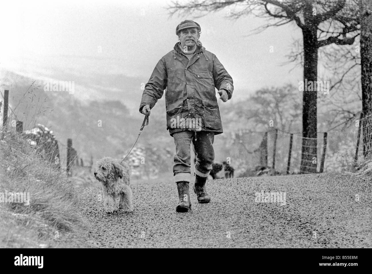 Animali Cani: Lui è trasandato cercando... ma adorabile. Egli costo di pochi scellini quando egli era un po' un gomitolo di lana. Ma per titolare di pensione o di rendita Selena Greenwood egli vale ogni centesimo del suo prezzo di £300 ha speso su di lui negli ultimi 2 1/2anni). BobbyÖyou potrebbero chiamarlo un old English Sheepdog ha trascorso gli ultimi 2 anni di 1/2 la grande vita lontano da casa ...con 5 stelle di trattamento ad un canile di imbarco perché la sua padrona non hanno casa per lui dopo che lei è venuto fuori dell'ospedale. Ora Bobby viene riabilitato per ben presto egli e il suo padrone sarà di nuovo insieme quando si arriva a casa dei suoi propri. Dicembre 1969 Z12024-004 Foto Stock