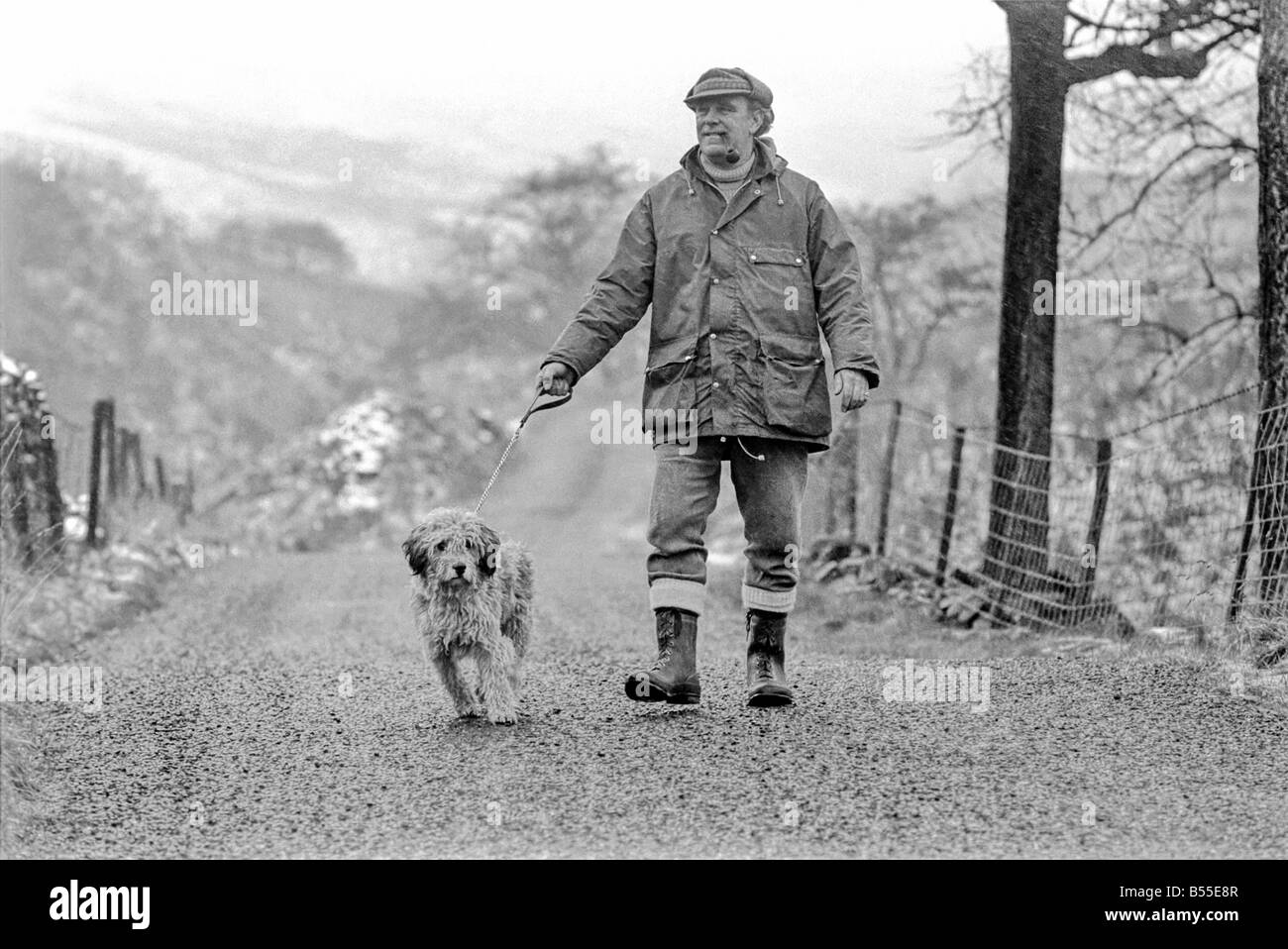 Animali Cani: Lui è trasandato cercando... ma adorabile. Egli costo di pochi scellini quando egli era un po' un gomitolo di lana. Ma per titolare di pensione o di rendita Selena Greenwood egli vale ogni centesimo del suo prezzo di £300 ha speso su di lui negli ultimi 2 1/2anni). BobbyÖyou potrebbero chiamarlo un old English Sheepdog ha trascorso gli ultimi 2 anni di 1/2 la grande vita lontano da casa ...con 5 stelle di trattamento ad un canile di imbarco perché la sua padrona non hanno casa per lui dopo che lei è venuto fuori dell'ospedale. Ora Bobby viene riabilitato per ben presto egli e il suo padrone sarà di nuovo insieme quando si arriva a casa dei suoi propri. Dicembre 1969 Z12024-005 Foto Stock
