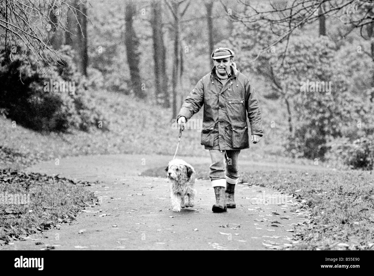 Animali Cani: Lui è trasandato cercando... ma adorabile. Egli costo di pochi scellini quando egli era un po' un gomitolo di lana. Ma per titolare di pensione o di rendita Selena Greenwood egli vale ogni centesimo del suo prezzo di £300 ha speso su di lui negli ultimi 2 1/2anni). BobbyÖyou potrebbero chiamarlo un old English Sheepdog ha trascorso gli ultimi 2 anni di 1/2 la grande vita lontano da casa ...con 5 stelle di trattamento ad un canile di imbarco perché la sua padrona non hanno casa per lui dopo che lei è venuto fuori dell'ospedale. Ora Bobby viene riabilitato per ben presto egli e il suo padrone sarà di nuovo insieme quando si arriva a casa dei suoi propri. Dicembre 1969 Z12024-007 Foto Stock
