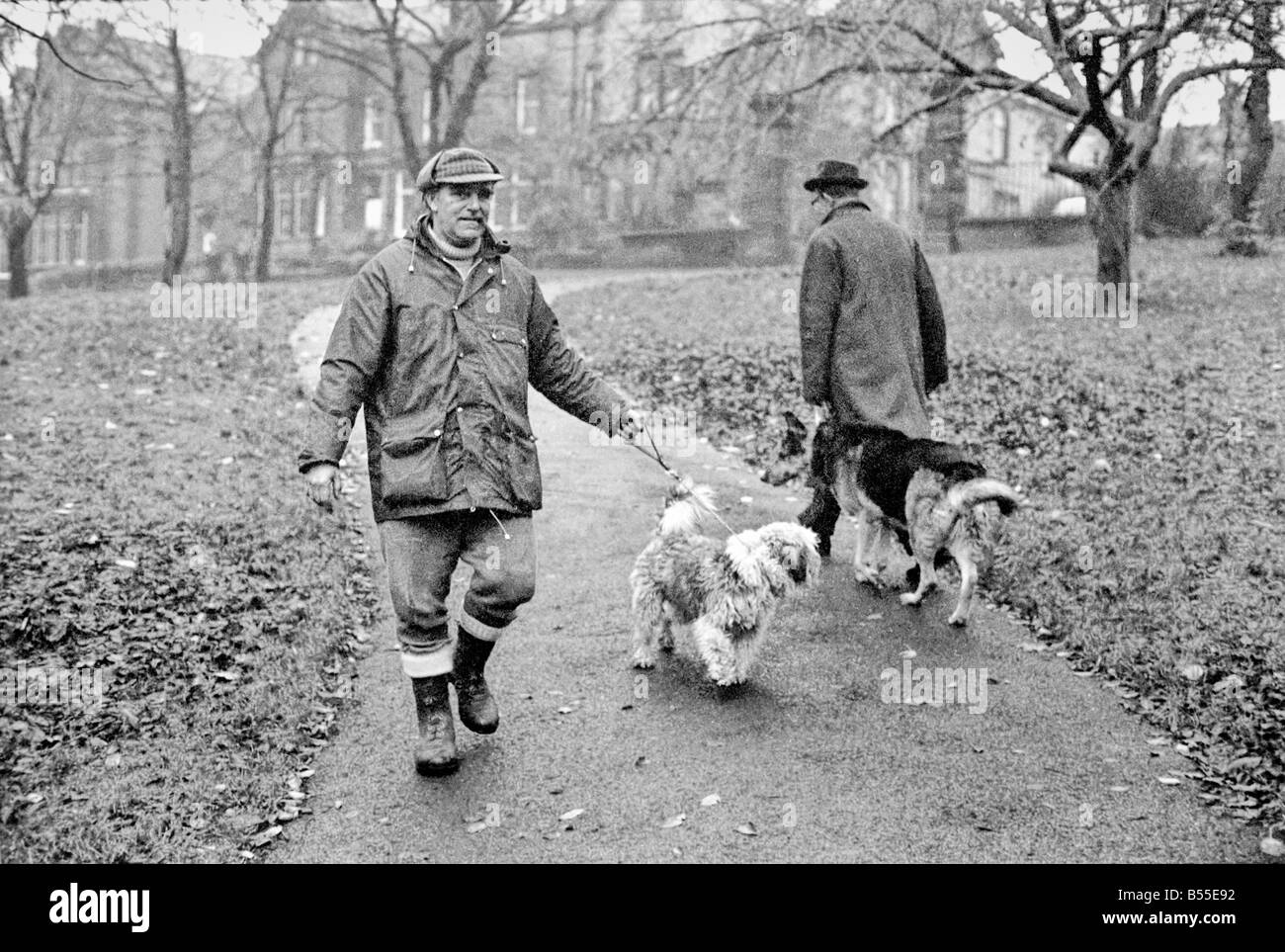 Animali Cani: Lui è trasandato cercando... ma adorabile. Egli costo di pochi scellini quando egli era un po' un gomitolo di lana. Ma per titolare di pensione o di rendita Selena Greenwood egli vale ogni centesimo del suo prezzo di £300 ha speso su di lui negli ultimi 2 1/2anni). BobbyÖyou potrebbero chiamarlo un old English Sheepdog ha trascorso gli ultimi 2 anni di 1/2 la grande vita lontano da casa ...con 5 stelle di trattamento ad un canile di imbarco perché la sua padrona non hanno casa per lui dopo che lei è venuto fuori dell'ospedale. Ora Bobby viene riabilitato per ben presto egli e il suo padrone sarà di nuovo insieme quando si arriva a casa dei suoi propri. Dicembre 1969 Z12024-008 Foto Stock