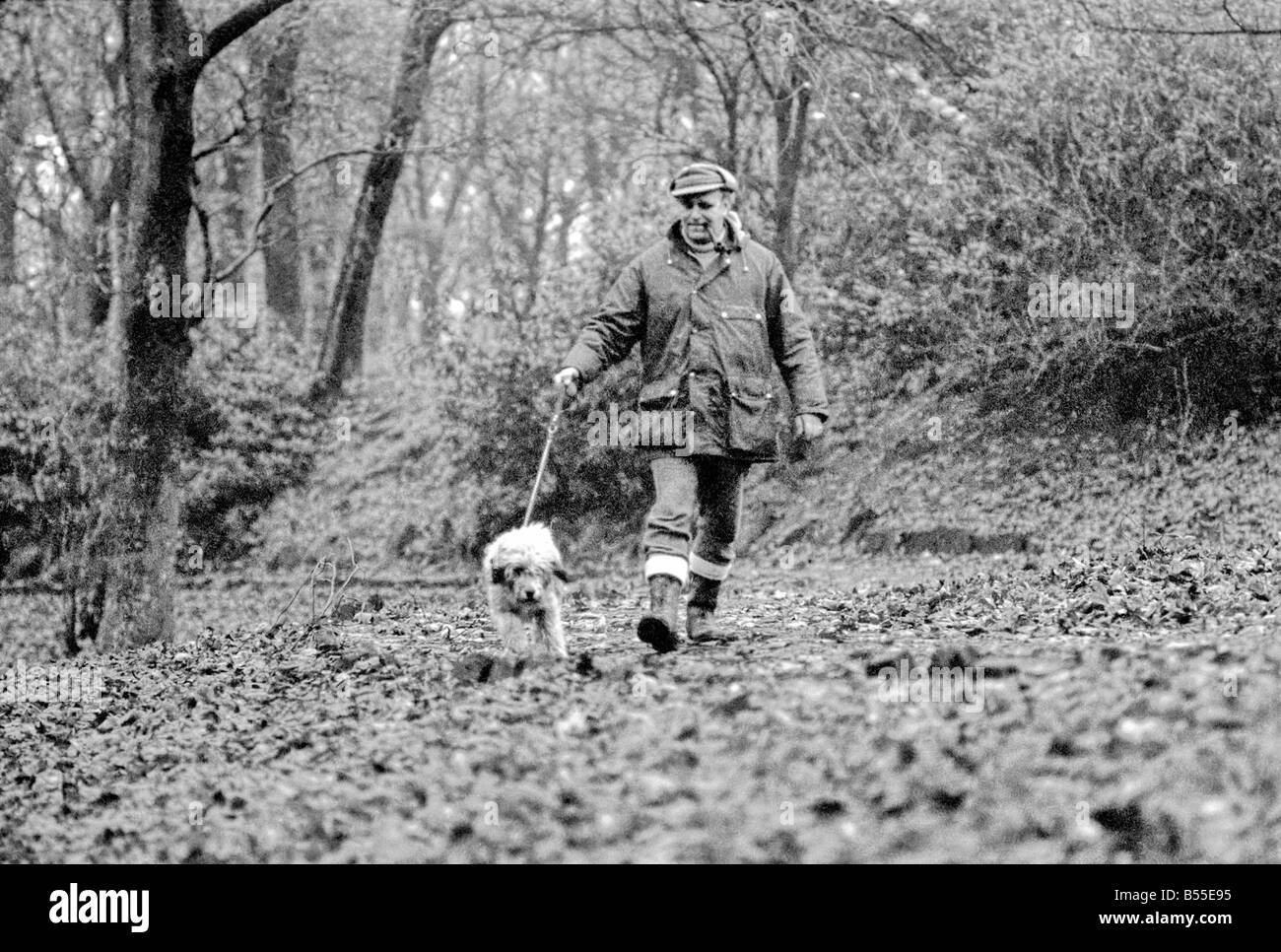 Animali Cani: Lui è trasandato cercando... ma adorabile. Egli costo di pochi scellini quando egli era un po' un gomitolo di lana. Ma per titolare di pensione o di rendita Selena Greenwood egli vale ogni centesimo del suo prezzo di £300 ha speso su di lui negli ultimi 2 1/2anni). BobbyÖyou potrebbero chiamarlo un old English Sheepdog ha trascorso gli ultimi 2 anni di 1/2 la grande vita lontano da casa ...con 5 stelle di trattamento ad un canile di imbarco perché la sua padrona non hanno casa per lui dopo che lei è venuto fuori dell'ospedale. Ora Bobby viene riabilitato per ben presto egli e il suo padrone sarà di nuovo insieme quando si arriva a casa dei suoi propri. Dicembre 1969 Z12024-011 Foto Stock