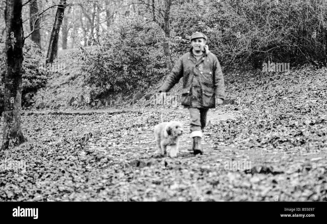 Animali Cani: Lui è trasandato cercando... ma adorabile. Egli costo di pochi scellini quando egli era un po' un gomitolo di lana. Ma per titolare di pensione o di rendita Selena Greenwood egli vale ogni centesimo del suo prezzo di £300 ha speso su di lui negli ultimi 2 1/2anni). BobbyÖyou potrebbero chiamarlo un old English Sheepdog ha trascorso gli ultimi 2 anni di 1/2 la grande vita lontano da casa ...con 5 stelle di trattamento ad un canile di imbarco perché la sua padrona non hanno casa per lui dopo che lei è venuto fuori dell'ospedale. Ora Bobby viene riabilitato per ben presto egli e il suo padrone sarà di nuovo insieme quando si arriva a casa dei suoi propri. Dicembre 1969 Z12024-012 Foto Stock