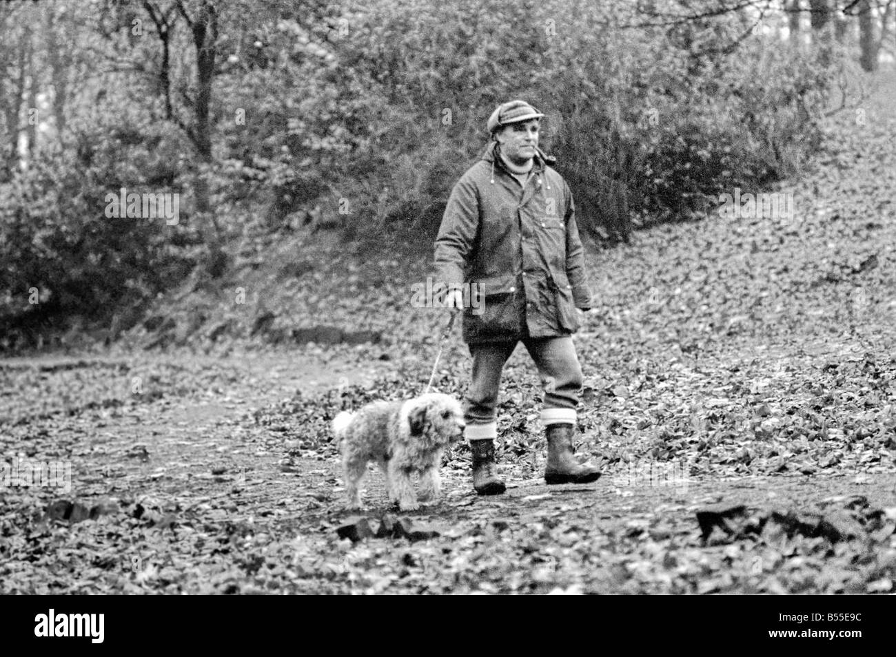 Animali Cani: Lui è trasandato cercando... ma adorabile. Egli costo di pochi scellini quando egli era un po' un gomitolo di lana. Ma per titolare di pensione o di rendita Selena Greenwood egli vale ogni centesimo del suo prezzo di £300 ha speso su di lui negli ultimi 2 1/2anni). BobbyÖyou potrebbero chiamarlo un old English Sheepdog ha trascorso gli ultimi 2 anni di 1/2 la grande vita lontano da casa ...con 5 stelle di trattamento ad un canile di imbarco perché la sua padrona non hanno casa per lui dopo che lei è venuto fuori dell'ospedale. Ora Bobby viene riabilitato per ben presto egli e il suo padrone sarà di nuovo insieme quando si arriva a casa dei suoi propri. Dicembre 1969 Z12024 Foto Stock