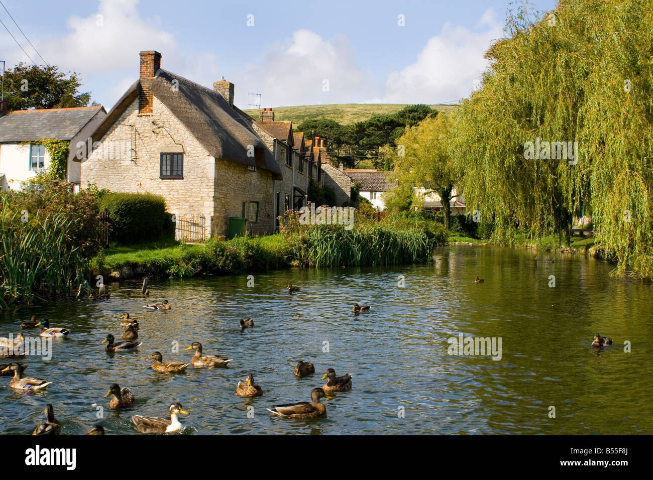 Sutton Poyntz vicino a Weymouth Dorset Inghilterra Regno Unito Europa Foto Stock