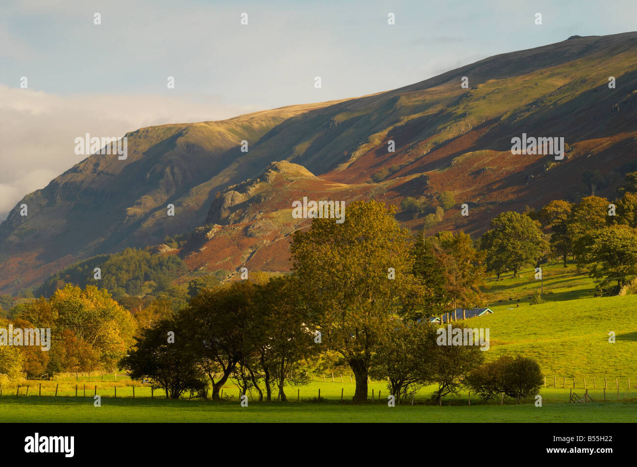 I colori autunnali nella campagna pennini Near Keswick Lake District Cumbria Regno Unito Foto Stock