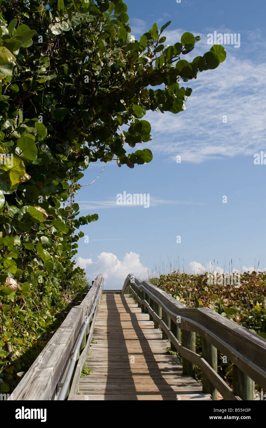 Un passaggio pedonale per una spiaggia della Florida. Foto Stock