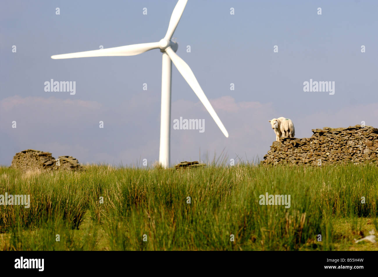 Le turbine eoliche Ffynon Oer Neath Valley West Wales Foto Stock
