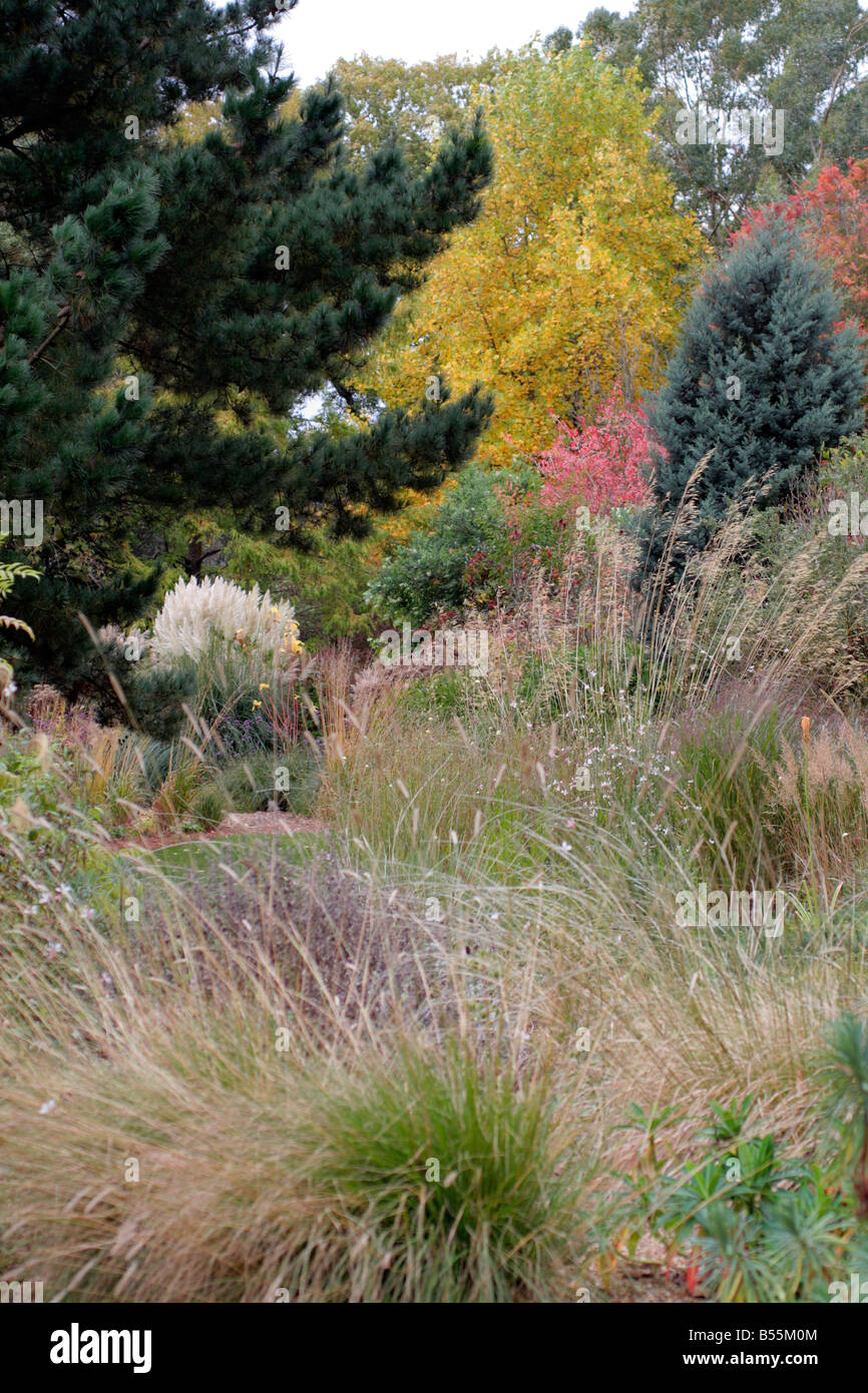 Giardini di KNOLL WIMBORNE DORSET DURANTE IL MESE DI OTTOBRE Foto Stock