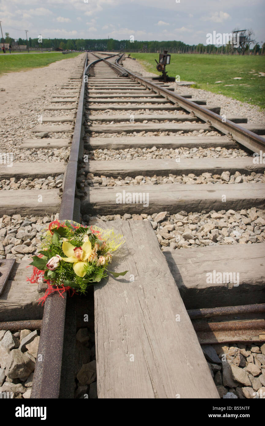 Mazzo di fiori bloccato nel tracciato ferroviario nell'ex campo di concentramento di Auschwitz II (Birkenau) Foto Stock