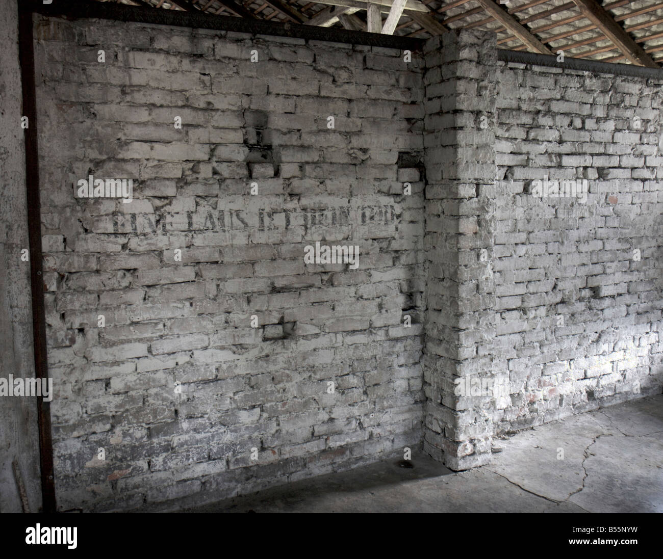 Iscrizione "Eine Laus ist dein Tod' su una parete in un prigionieri dormono barrack nell'ex campo di concentramento di Auschwitz Birkenau () Foto Stock
