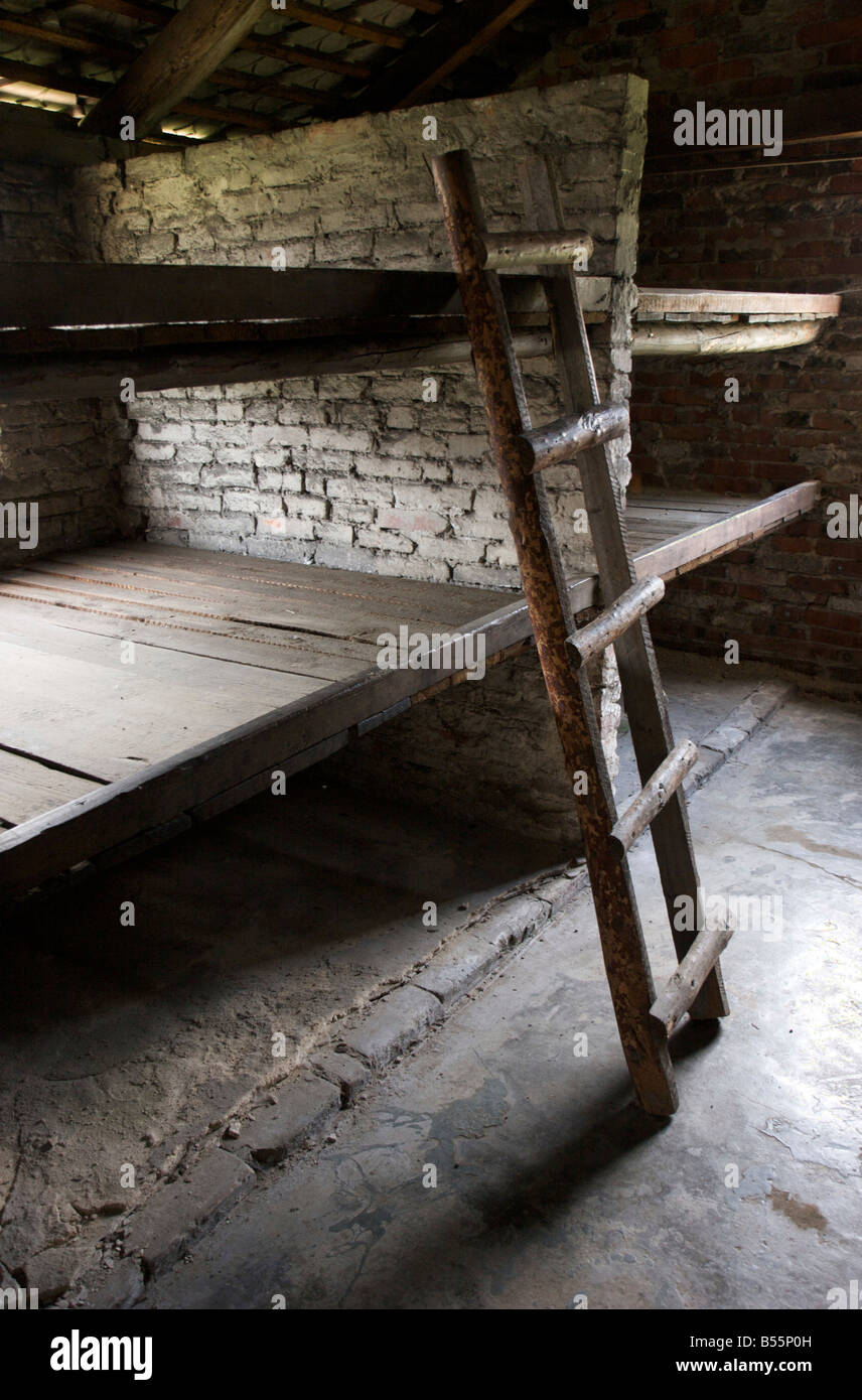 Sei sleeping cuccette e una scala all'interno di un prigionieri dormono barrack nell'ex campo di concentramento di Auschwitz II (Birkenau) Foto Stock