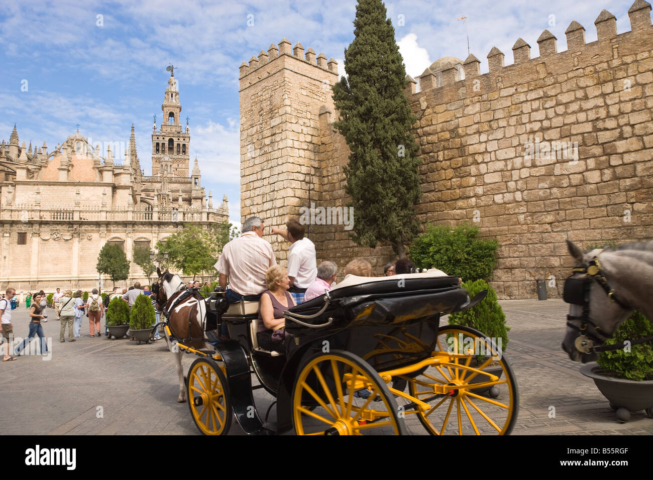 Siviglia Provincia di Siviglia Spagna cavallo e carrozza con la torre Giralda e la cattedrale di pareti del Real Alcazar Foto Stock