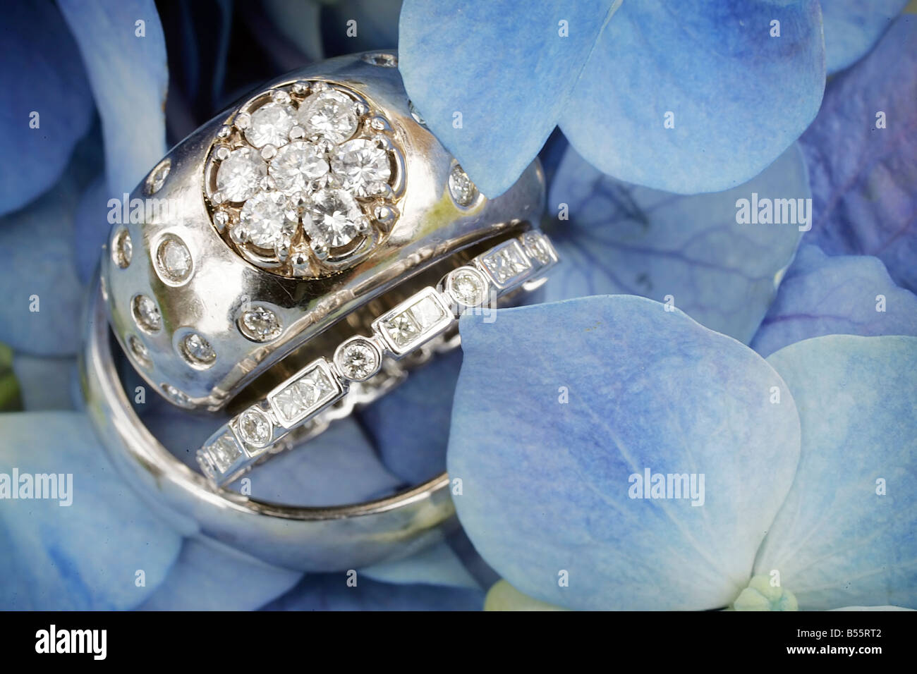 Un bel set di wedding bands tra blu e bianco ortensie. Foto Stock