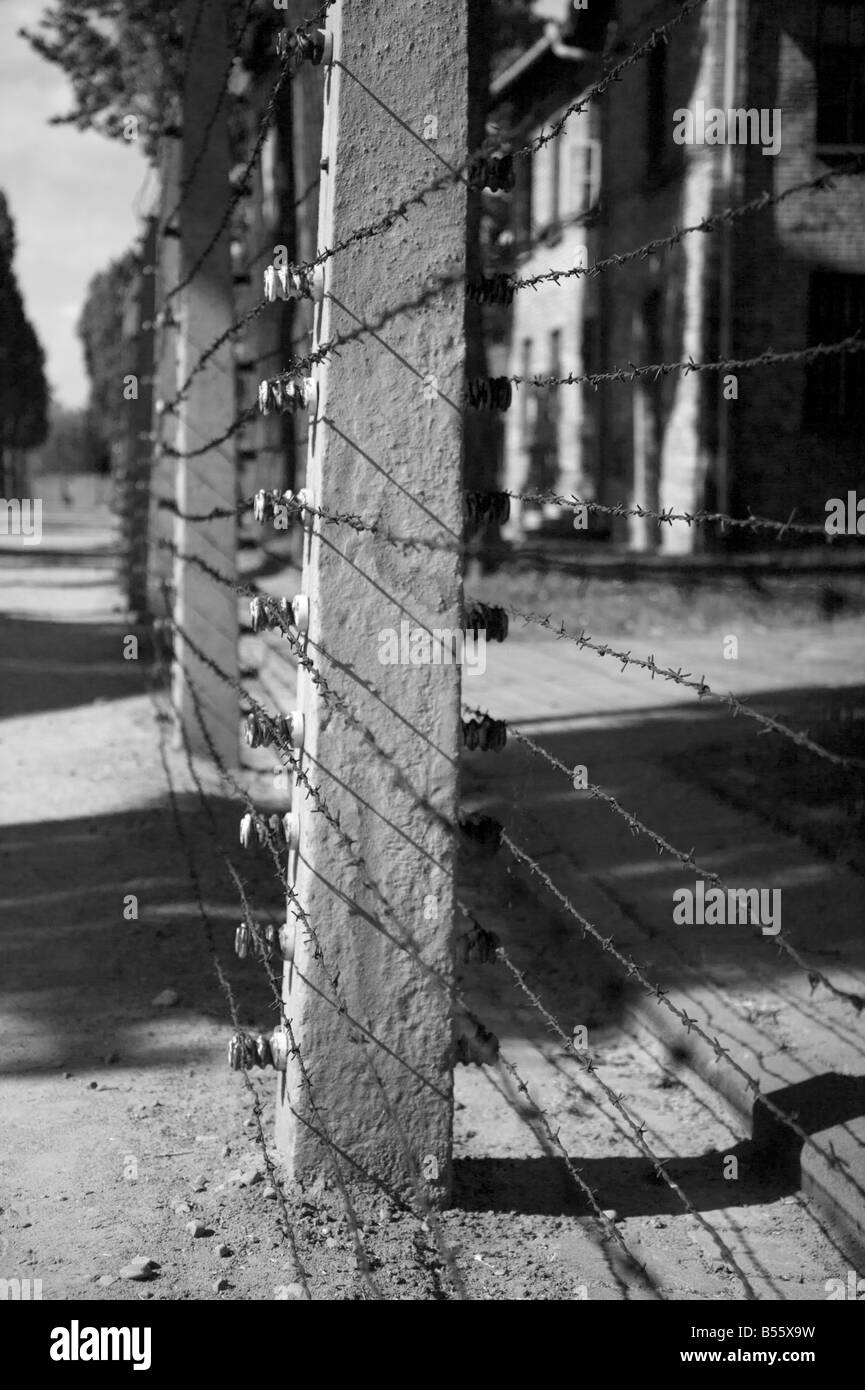 Alta tensione del filo spinato recinzione elettrificata nell'ex campo di concentramento di Auschwitz ho Foto Stock