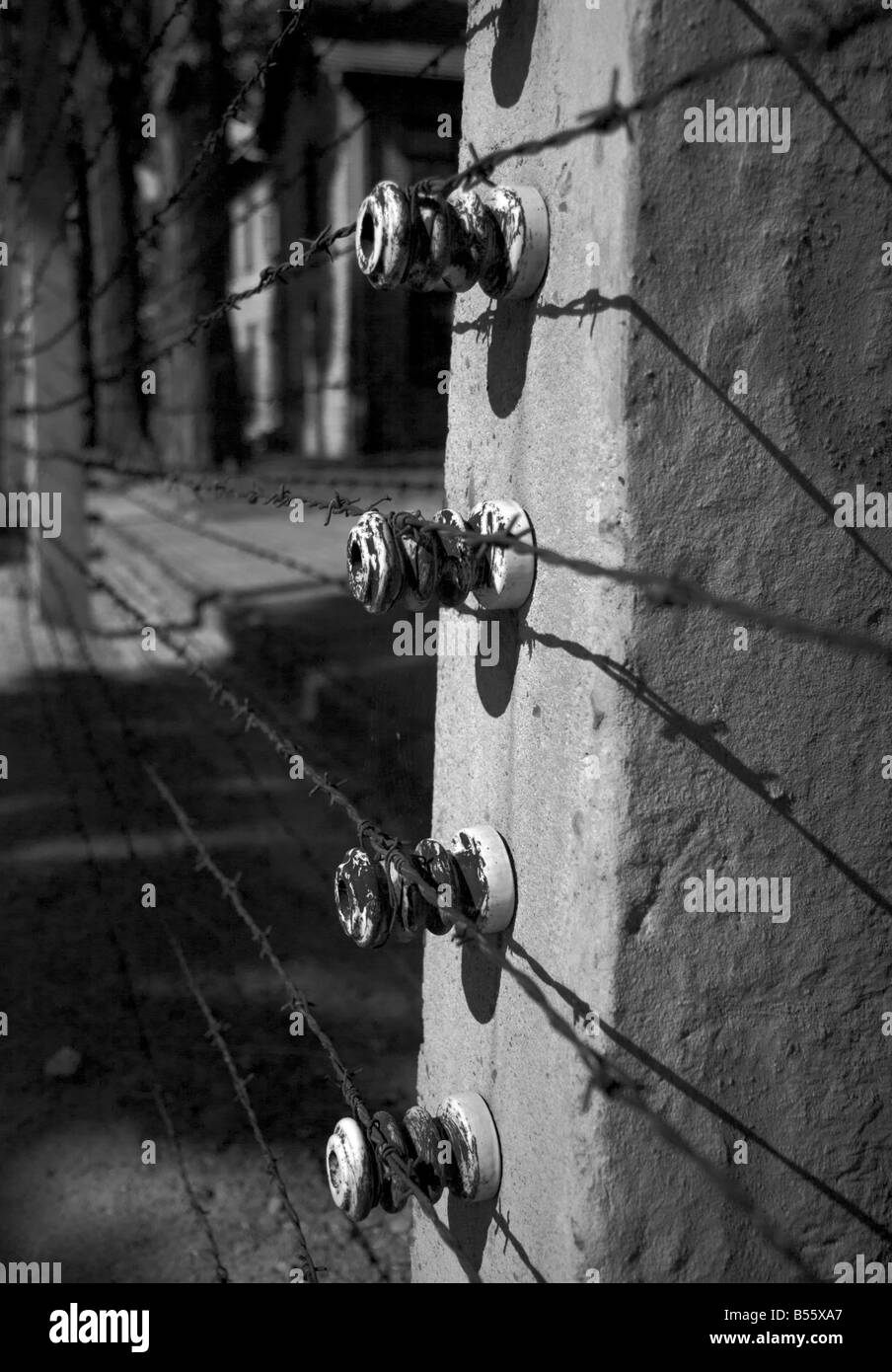 Primo piano di alcuni isolatori tenendo alta la tensione del filo spinato recinzione elettrificata nell'ex campo di concentramento di Auschwitz ho Foto Stock