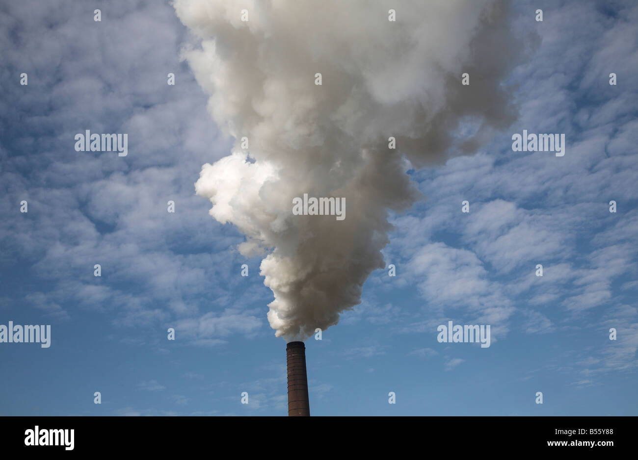 Il vapore fumo che sale dal camino della barbabietola da zucchero di fabbrica Bury St Edmunds Suffolk in Inghilterra Foto Stock