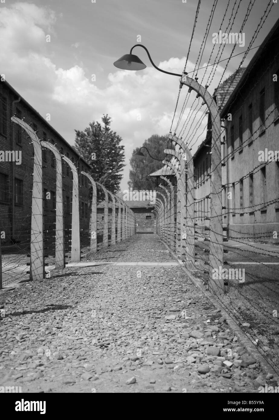 Due righe di alta tensione del filo spinato recinto elettrico nell'ex campo di concentramento di Auschwitz Foto Stock